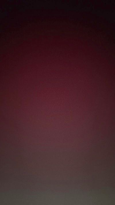 Adrielslsyt Live Image