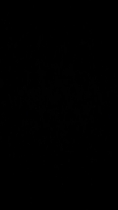 Angelwinds Live Image