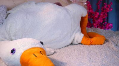 BarbraReplogle Live Image