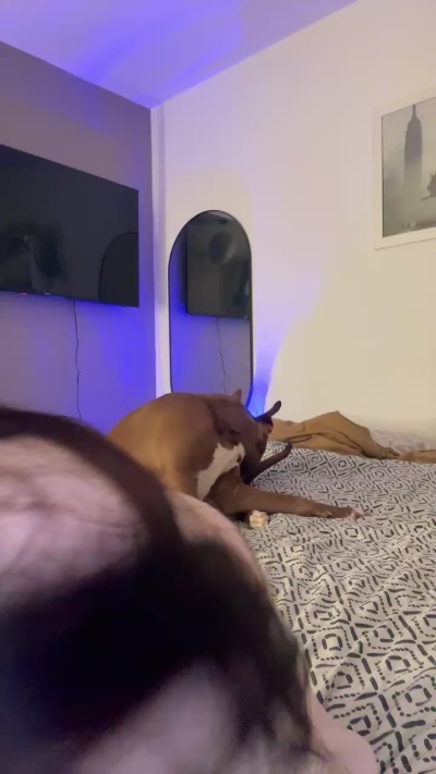 Bbsitaaaaa Live Image