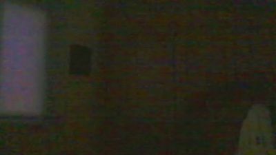 BearContraste Live Image