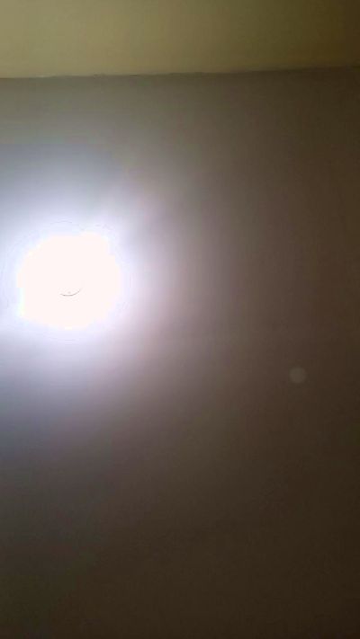 Biandres2255 Live Image