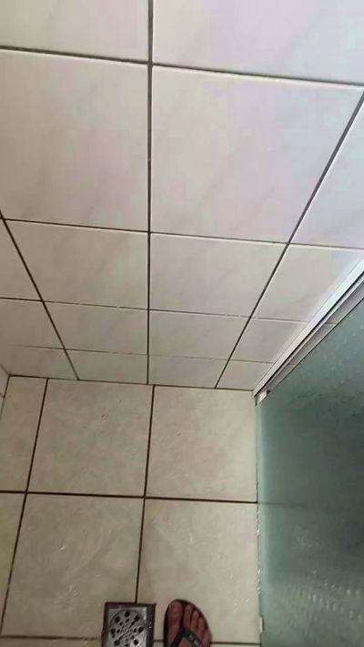 Bielsafado1977 Live Image