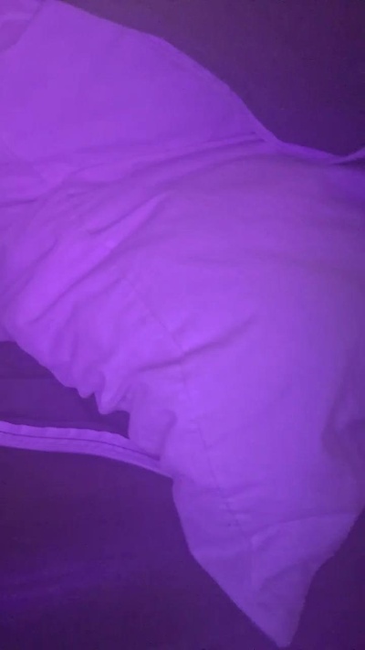 Bigbadabeez Live Image