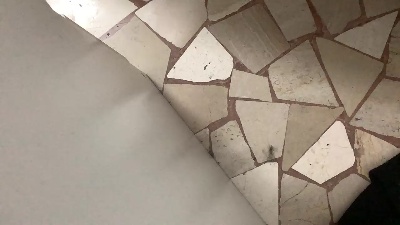 Black__Moth Live Image