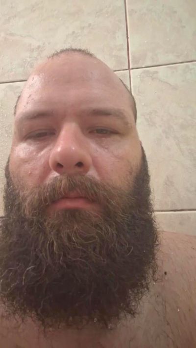 Brazilianbear_ Live Image