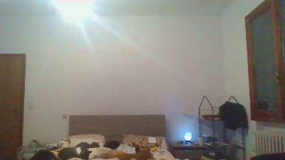 Bsxtravbologna Live Image