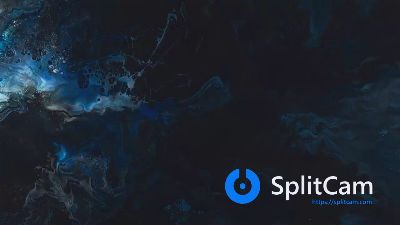 CatapultCorgi Live Image