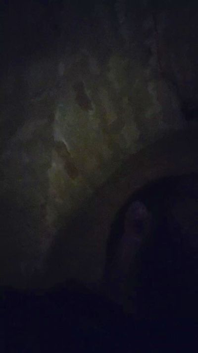 Cerbero31 Live Image