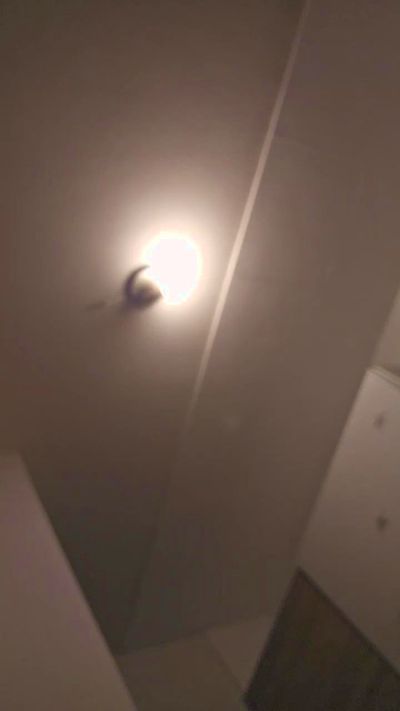 Chia562002 Live Image