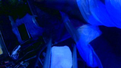 ChocPuddle Live Image