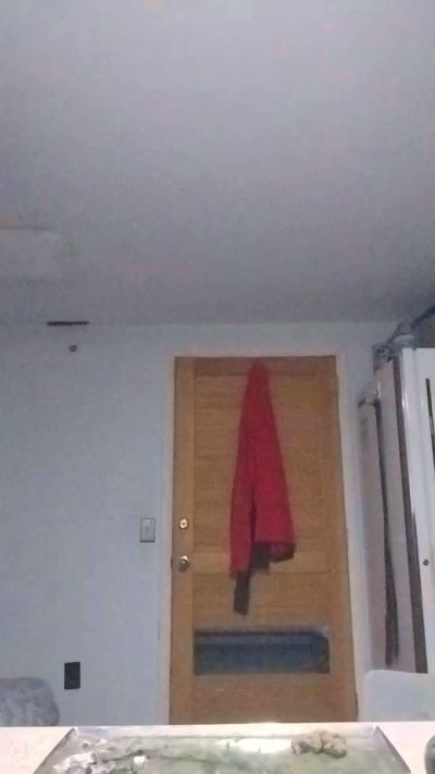 Curiousofsomuch Live Image