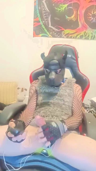 DARK_HORSE_IND Live Image