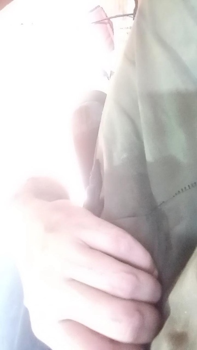 DaronMaggot_Por Live Image