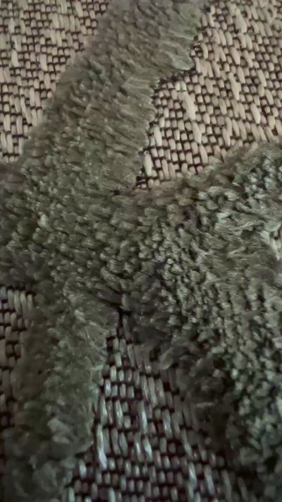 Dorsethung Live Image