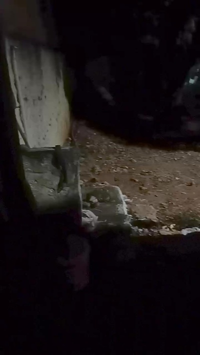 Dotados_sexy Live Image