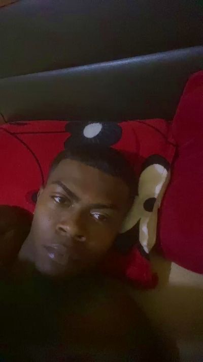 Elmore23Q Live Image