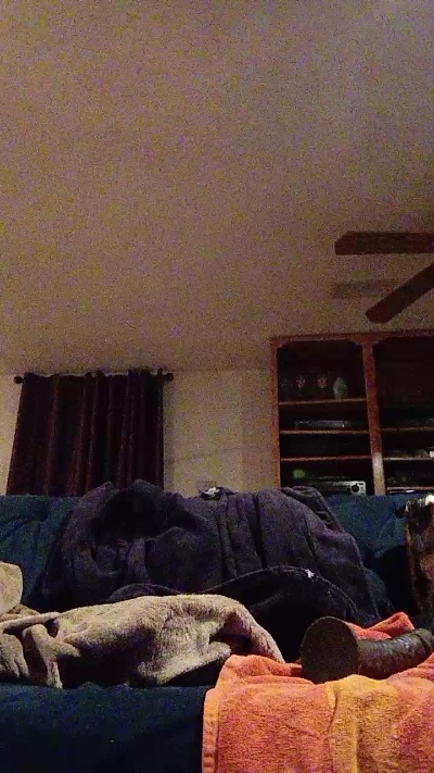 Freakyversegods Live Image