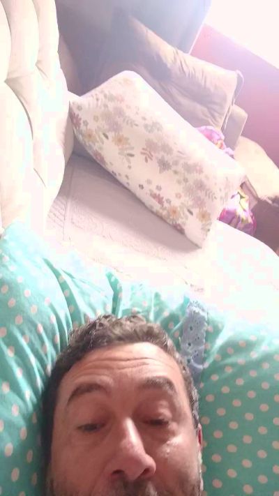 Gatopintopequen Live Image