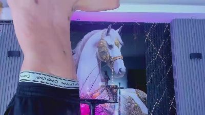 Handsome_boys_ Live Image