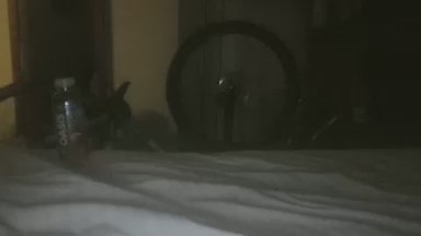 Inittowinit780 Live Image