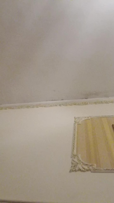 Intenssexper2 Live Image