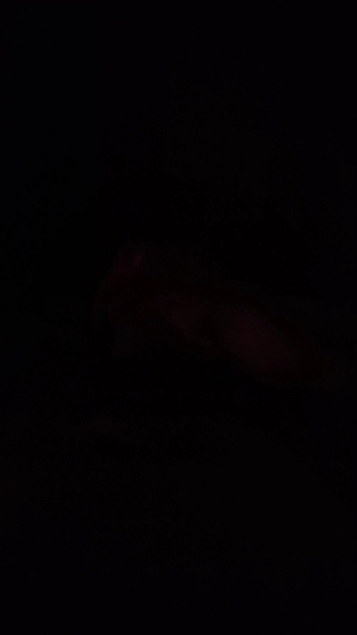 Joson8989 Live Image