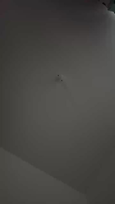 KYLIE_PREGNAT Live Image