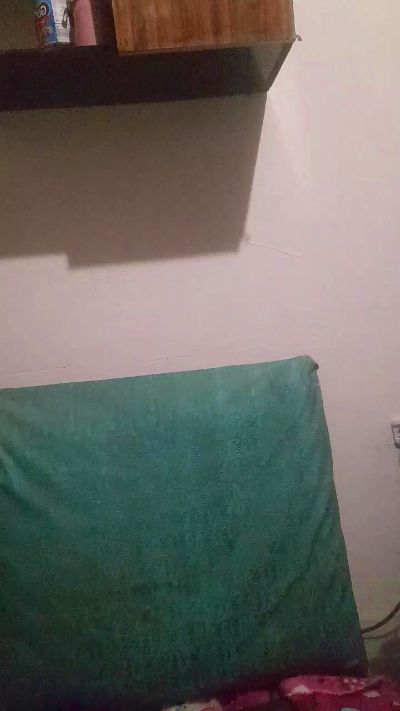 LittleAkari Live Image