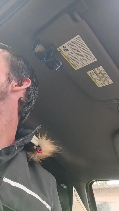 Littleguy25 Live Image