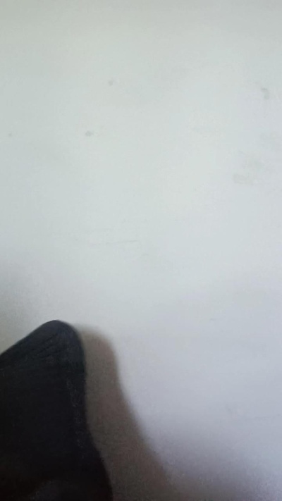 Mammisonga1 Live Image