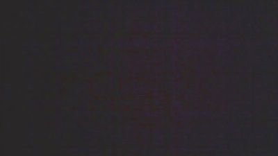 Margiale84 Live Image