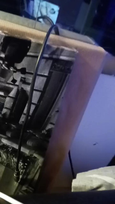 Mario8521 Live Image