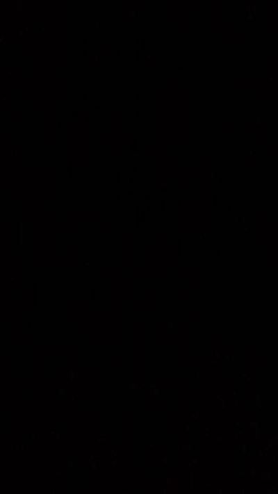 MermaidNTiger Live Image