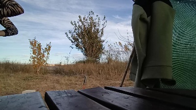 Miss_fantasy_ Live Image