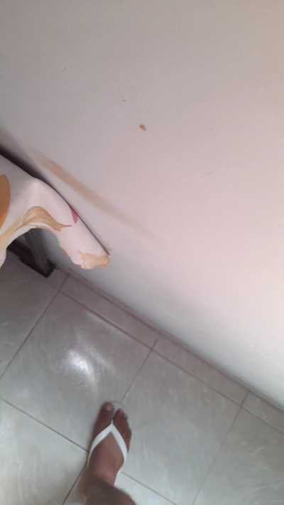 Morenodiscret35 Live Image