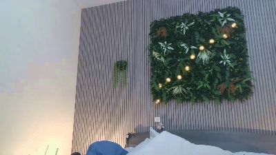 Mystery_Girl_7 Live Image