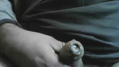 Olivodiego Live Image