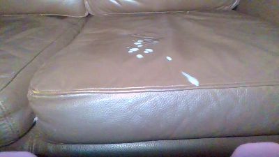 Pedrocum85 Live Image