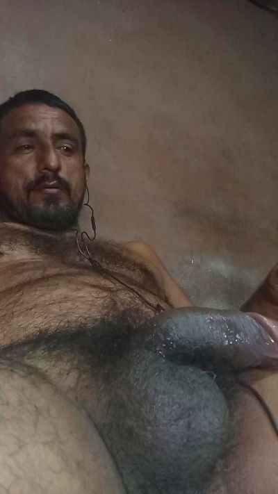 Pollagrande81 Live Image