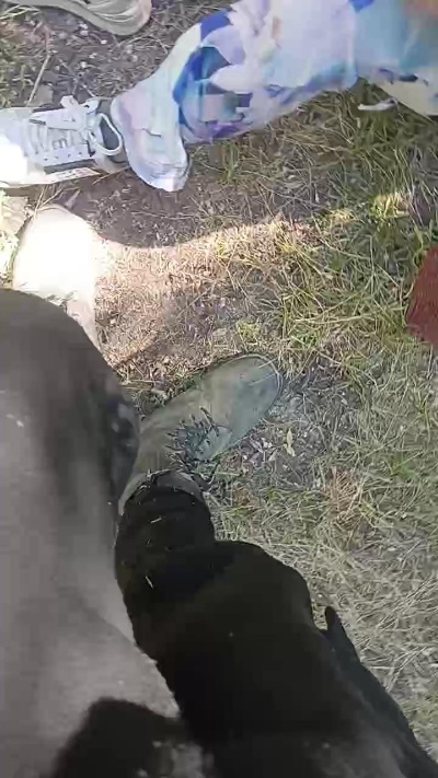 Queenking27 Live Image