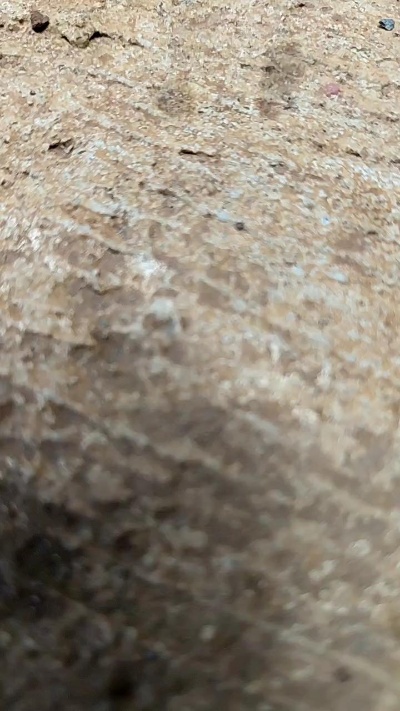 Rafaeltomas Live Image