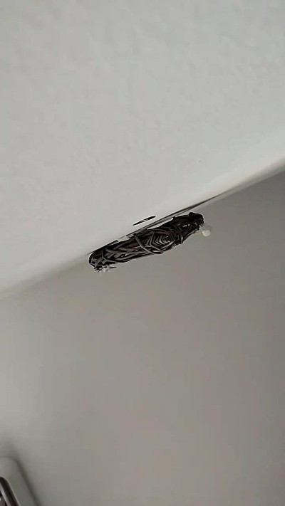 Romeo0juliet Live Image