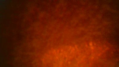 SamuelTal Live Image