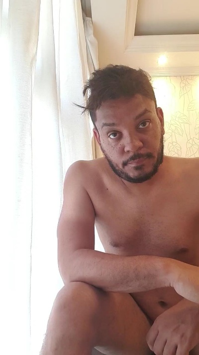 SedutorGato Live Image