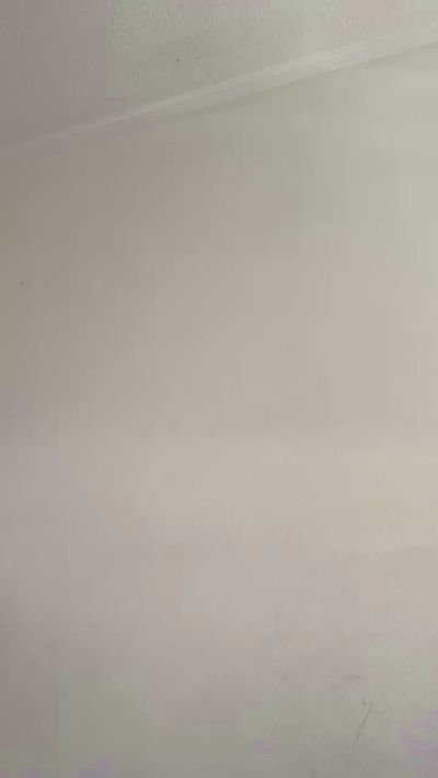 Sersirena Live Image