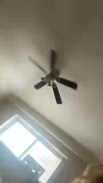 SexySassySally Live Image