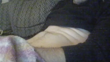 Singleboy48 Live Image