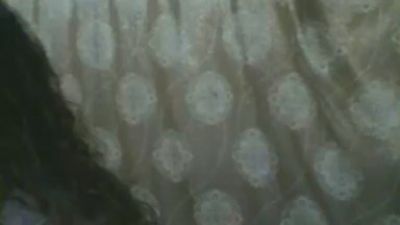 Smith_Theylor5 Live Image