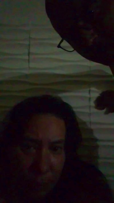 Solcitomimosa Live Image